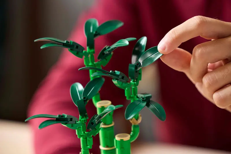 LEGO Botanicals 10344 - Bambù del buon auspicio