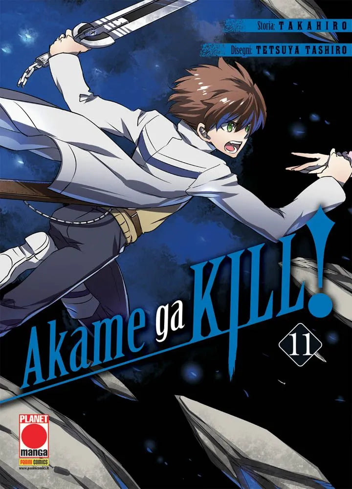 Akame Ga Kill! 11