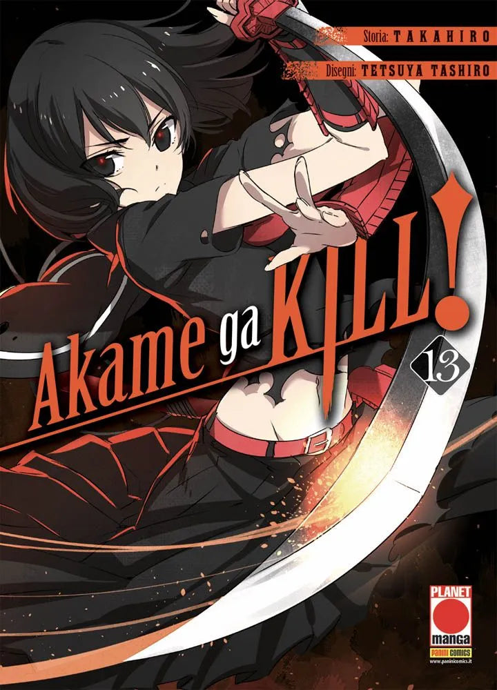 Akame Ga Kill! 13